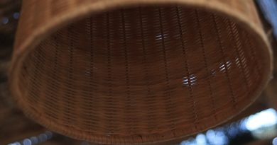 Photo rattan dome pendants